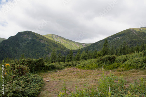green forest, mountains, clouds in the Carpathians, Ukraine
