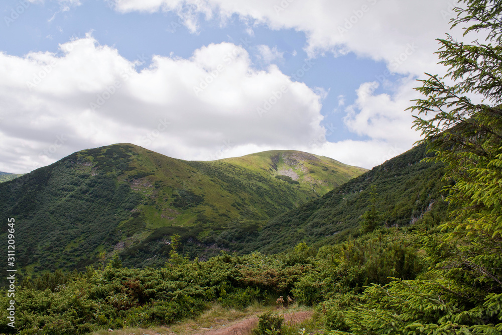 Hoverla Mountain on a summer sunny day, Carpathians, Ukraine Hoverla Mountain on a summer sunny day, Carpathians, Ukraine