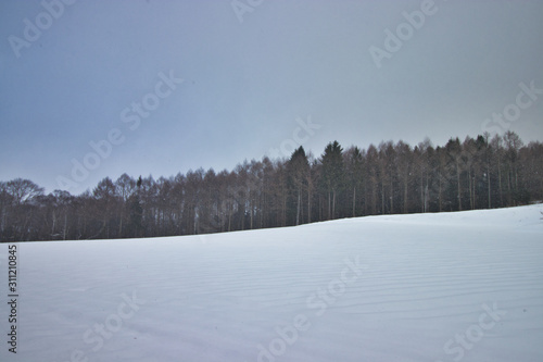 雪景色 © taka
