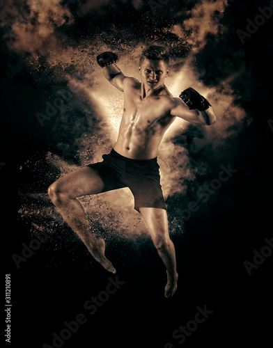 MMA male fighter kick