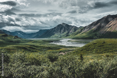 Denali national park mountains panoramic view  Alaska