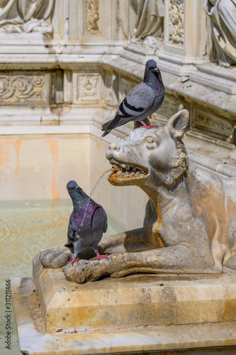 Figur mit Tauben am Brunnen Fonte Gaia, Il Campo, Siena, Italien