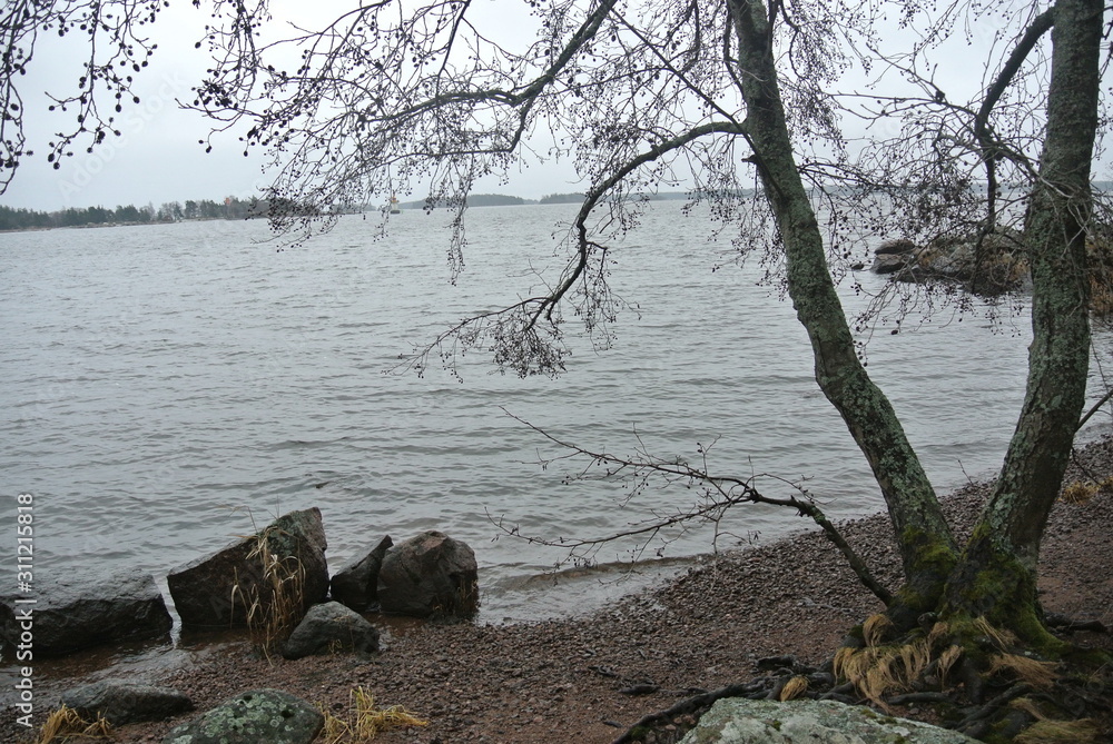 autumn landscape with the image of coniferous forest on the sandy shore of the Bay autumn landscape with the image of coniferous forest on the sandy shore of the Bay