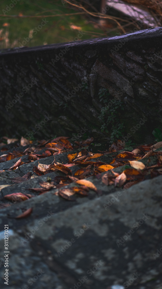 Autumn leaves on stairs Autumn leaves on stairs