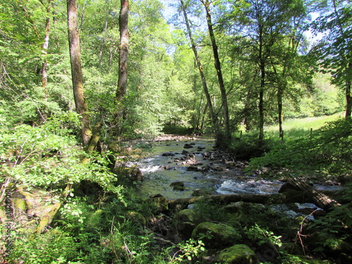 Canvas Print vue de ruisseau