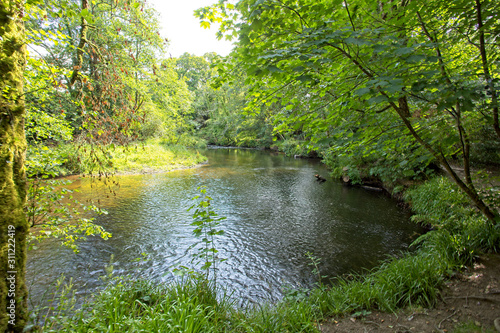 The River Fowey, near Bodmin, Cornwall, England, UK.