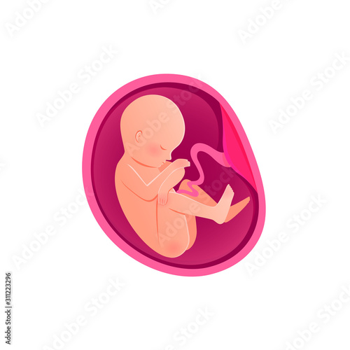 Embryo Development isolated icon. Pregnancy, fetal fetus development. 