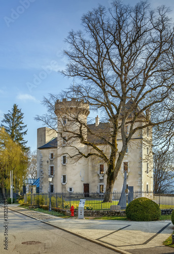 Chateau de l'Echelle, La Roche-sur-Foron, France © borisb17