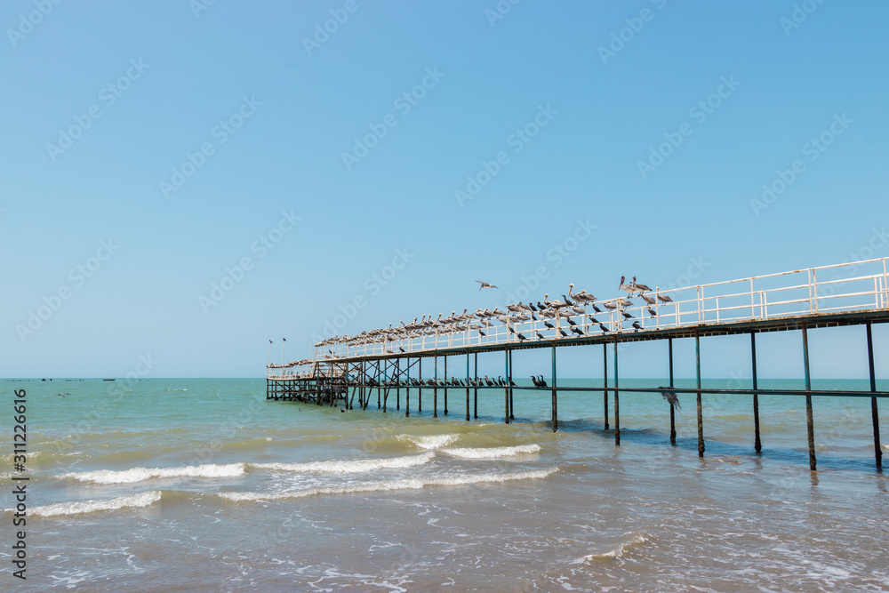 pier on the shore of a beach with several birds on it