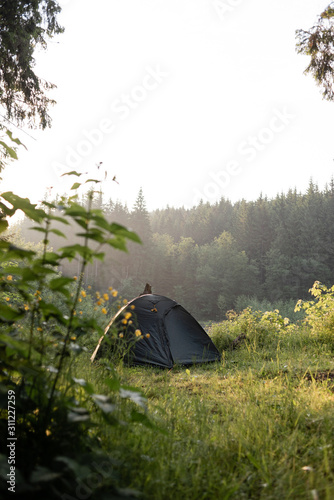 tourist tent is in the forest  hiking and camping 