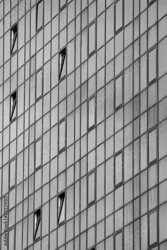 Window. Glass wall. Black and white