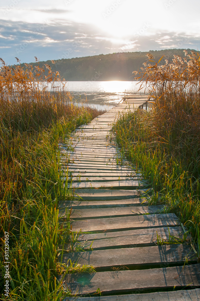 Naklejka premium colorful orange autumn on a forest lake on a sunny day