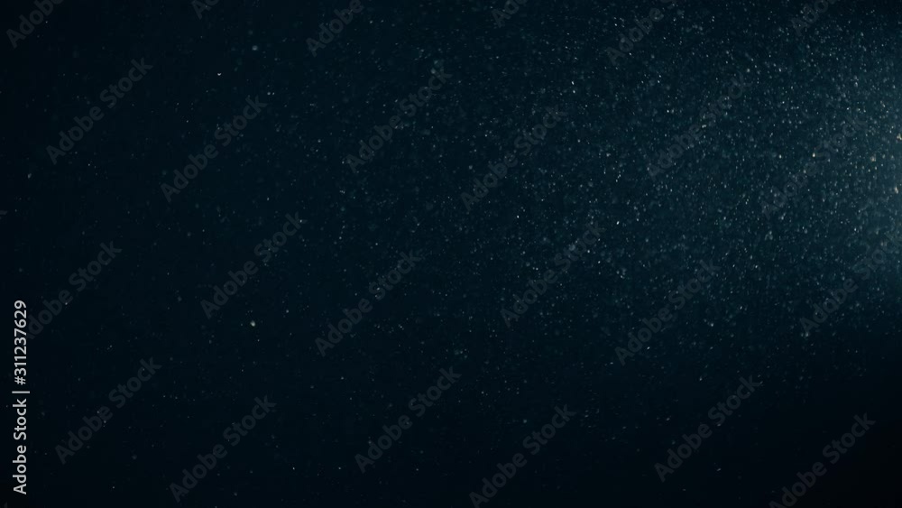 Natural Organic Dust Particles Floating On Black Background. Glittering Sparkling Particles Randomly Spin In The Air With Bokeh. Dynamic Particles With Fast And Slow Motion. Shimmering Dust In Space. Natural Organic Dust Particles Floating On Black Background. Glittering Sparkling Particles Randomly Spin In The Air With Bokeh. Dynamic Particles With Fast And Slow Motion. Shimmering Dust In Space.