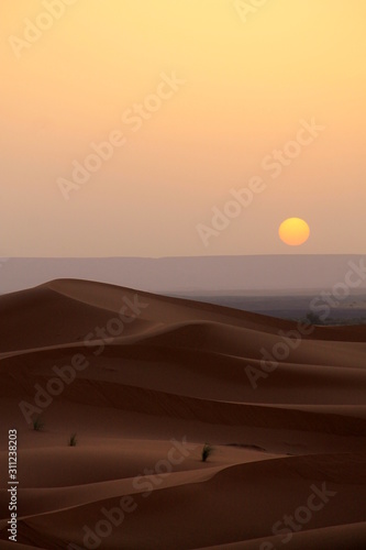Desert sun