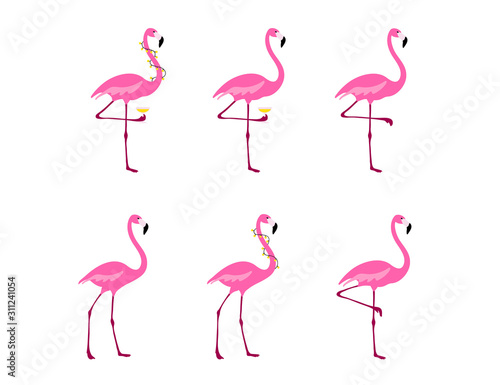 Flamingo clipart set. Tropical bird drawing. Isolated on white. Colorful cute cartoon design.