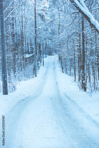 Snowy winter road in the countryside. The path among the trees in the snow. Road in the winter forest