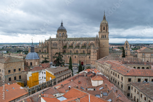 Overcast view of Salamanca Cathedral, Spain