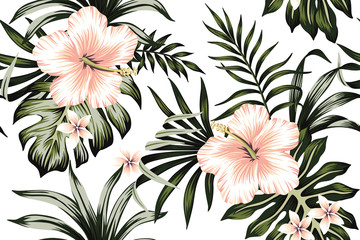 Fotobehang Hibiscus patronen Perzik hibiscus plumeria donkergroene jungle  © good_mood