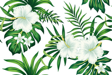 Fotobehang Hibiscus patronen Witte hibiscus plumeria groene bladeren  © good_mood