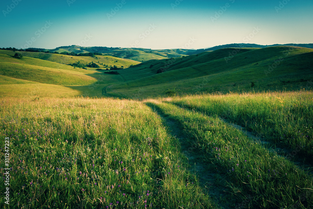 Grassland landscape among small hills. Eastern europe Grassland landscape among small hills. Eastern europe