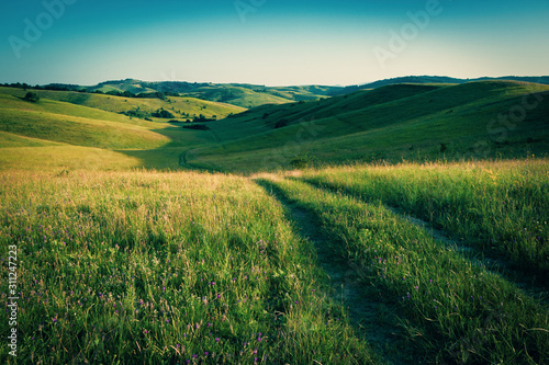 Billede på lærred Grassland landscape among small hills. Eastern europe