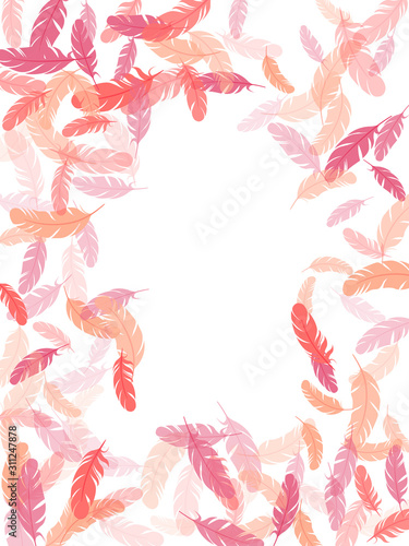 Falling feather elements soft vector design.