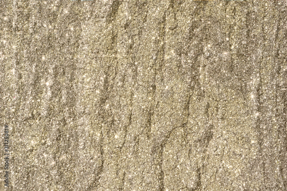 bark of tree texture 