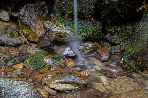 Small stream in the middle of woods