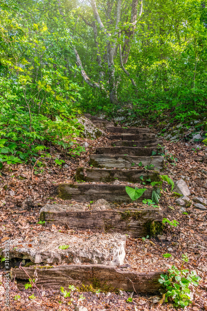 Old wooden steps on a mountain trail