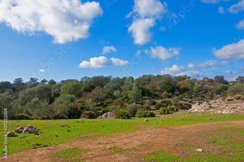 Green field with stones and trees. Blue sky and white clouds. Seville, Spain