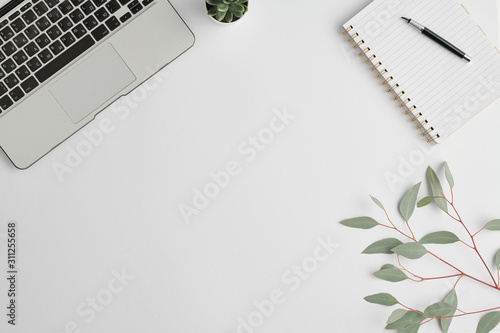 Notebook with pen, small plant in flowerpot, branch with green leaves and laptop