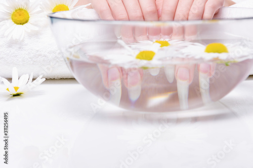 Close-up hands of young woman with natural nails  lowered into plate with healing infusion of chamomile. Concept of healthy hands and nails.  Procedure for treating nails in spa salon.