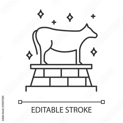 Golden Calf Bible story linear icon. Animal idol, bull representation. Exodus Biblical narrative. Thin line illustration. Contour symbol. Vector isolated outline drawing. Editable stroke
