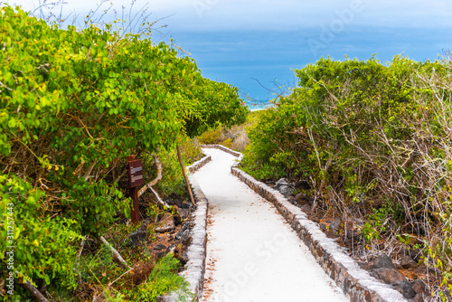 Path leading to the sea, Santa Cruz Island-Port Ayora, Galapagos Island. photo