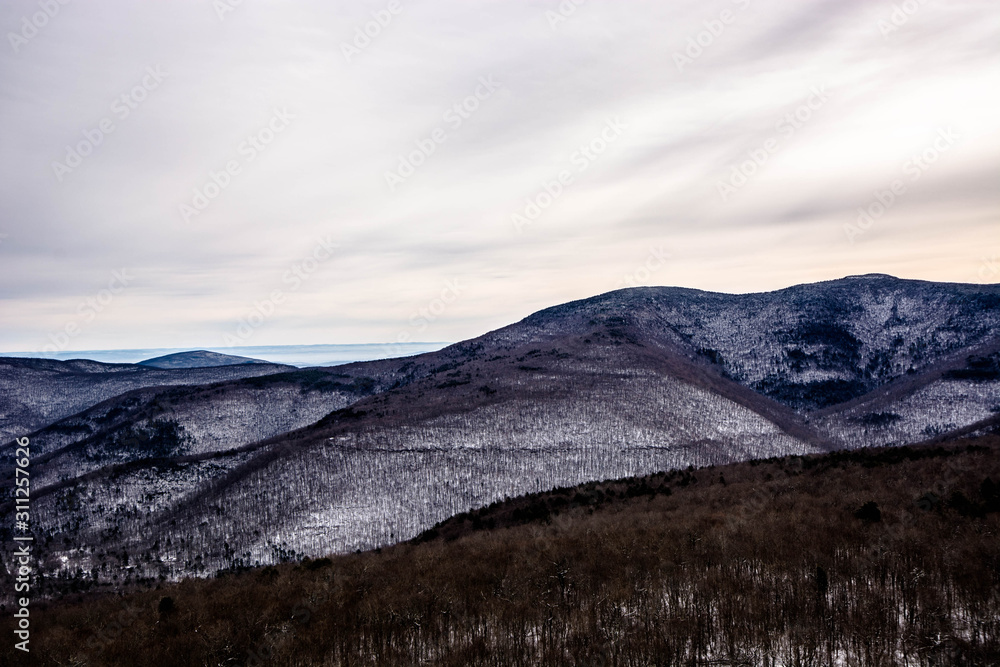 Panther Mountain 