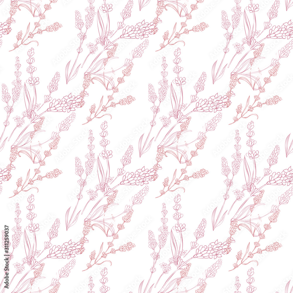 lavender natural hand drawn pattern native pashion  herbal botanical  decoration background