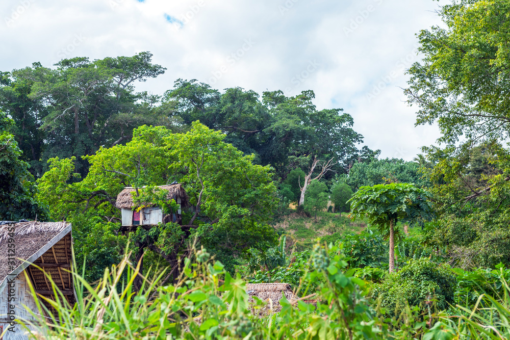 A house on a tree, Tanna Island, Vanuatu. A house on a tree, Tanna Island, Vanuatu.