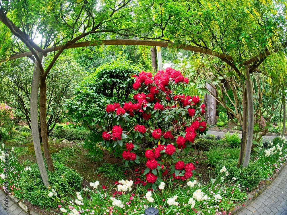 Obraz premium Spring garden