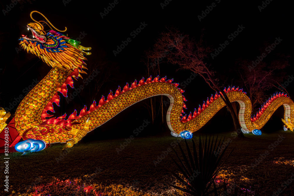 Obraz premium dragon asian lantern