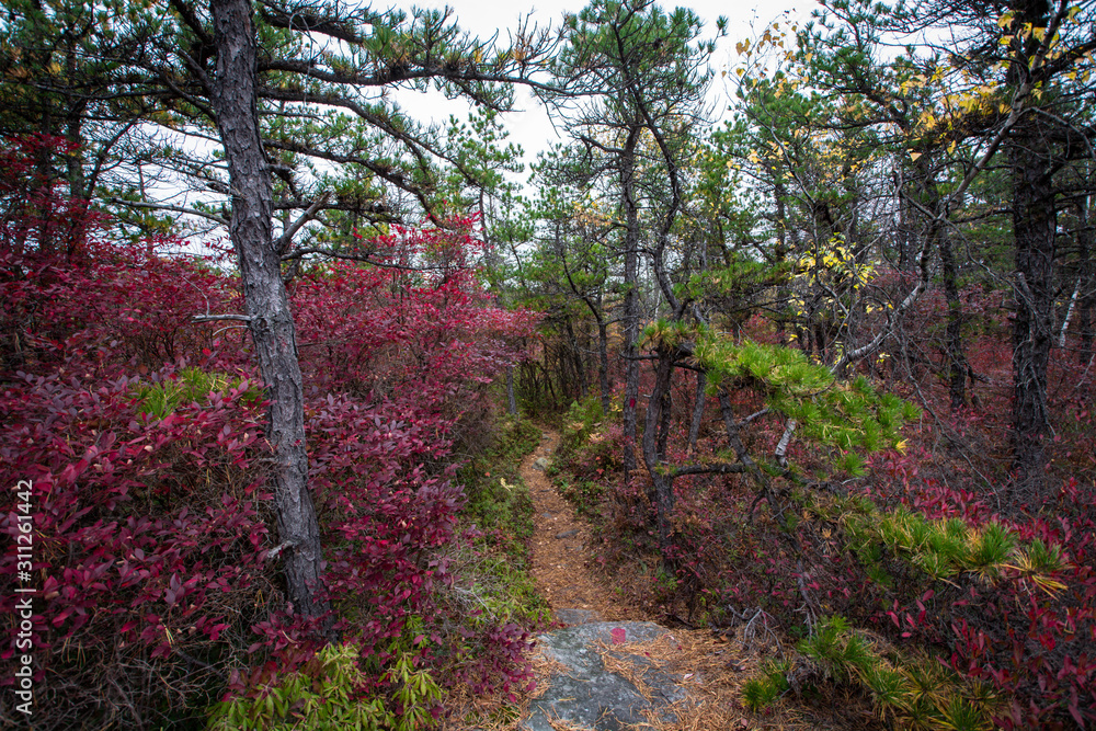 Fototapeta premium Shawangunk RIdge