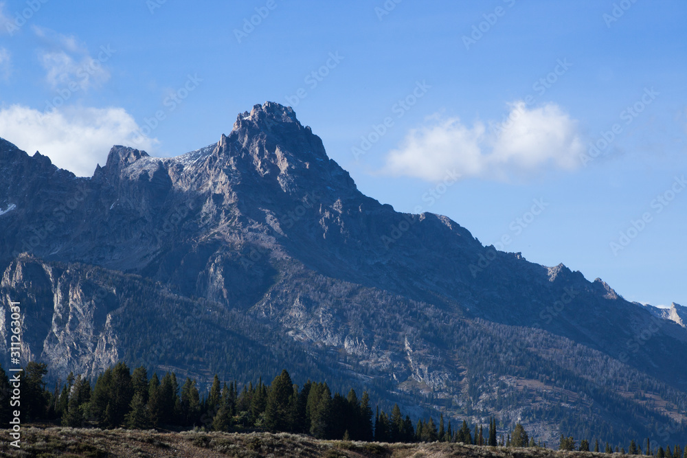 Snow capped mountain 