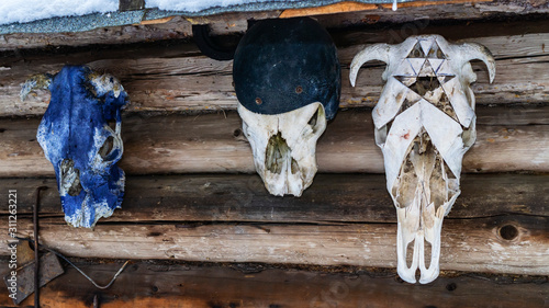 Old animal skulls. Worship of pagan Gods and trees. Mystic and magic concept.