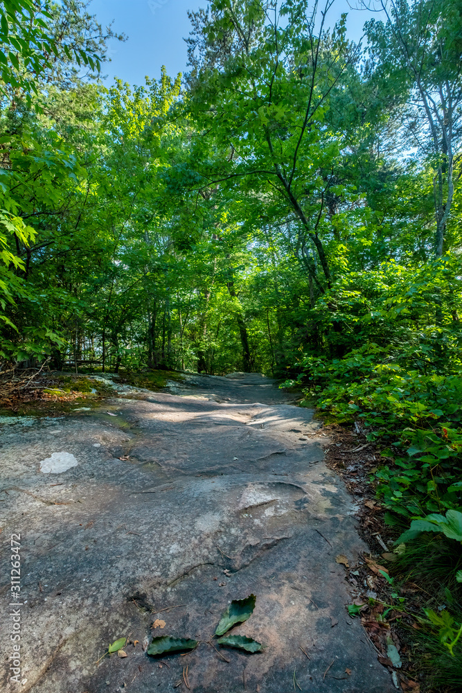 West Rim Loop Trail, Cloudland Canyon State Park, Georgia, USA