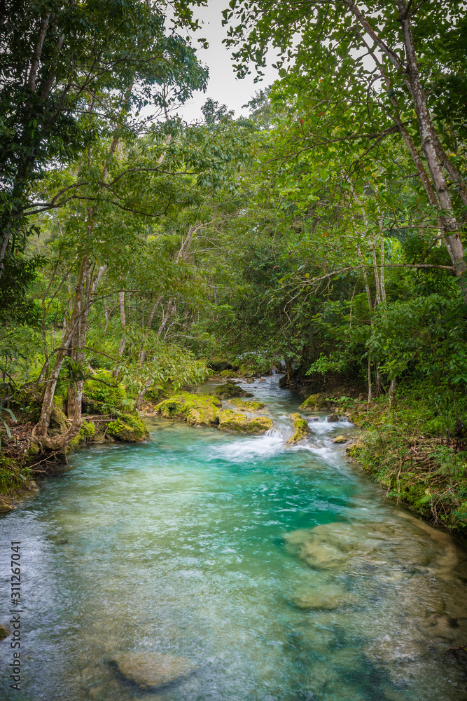 Water flowing through river stream in the mountains of a beautiful tropical Caribbean island. Gushing flow in lush rural countryside outdoor setting with scenic green trees/ plants/ foliage.
