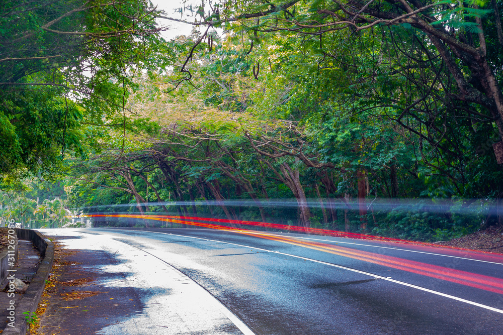 Obraz premium Car/ vehicle light streaks along rainy wet main road covered with tree canopy above. Asphalt street in beautiful island countryside setting during rainy season.