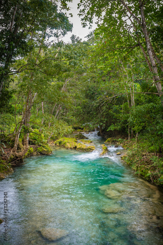 Water flowing through river stream in the mountains of a beautiful tropical Caribbean island. Gushing flow in lush rural countryside outdoor setting with scenic green trees  plants  foliage.