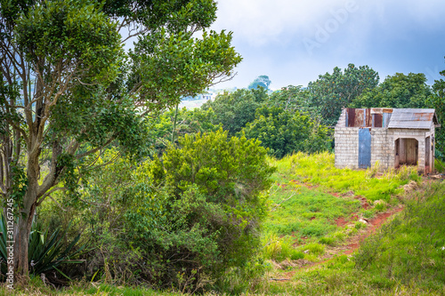 Small unfinished  damaged concrete block and zinc roofing house  home in the rural countryside. Lush greenery  bush and trees with red dirt in surrounding landscape. Modest country village dwelling.