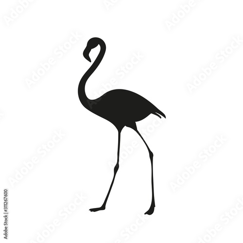 Flamingo bird silhouette. Tropical bird drawing. Vector