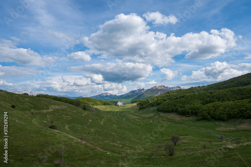 Wallpaper Mural Mountain winding creek. Summer on the mountain, green meadows with creek. Torontodigital.ca
