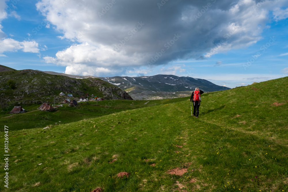 A man walks across a mountain meadow.